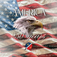Load image into Gallery viewer, US Commemorative | Pillow