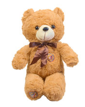 Load image into Gallery viewer, WN Bear | Teddy Bear