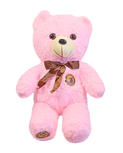 Load image into Gallery viewer, WN Bear | Teddy Bear