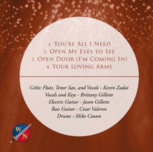 Load image into Gallery viewer, Let's Worship Together: Live At Austin | Vol. 1