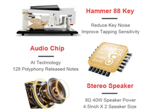 Load image into Gallery viewer, Warrior Notes | Keyboard with Stand