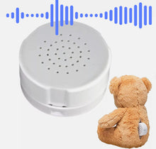 Load image into Gallery viewer, WN | Bear Audio