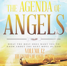 Load image into Gallery viewer, The Agenda of Angels  Vol 12: The Enemies Of Angel Agenda - mp3