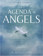 Load image into Gallery viewer, The Agenda of Angels - Study Guide