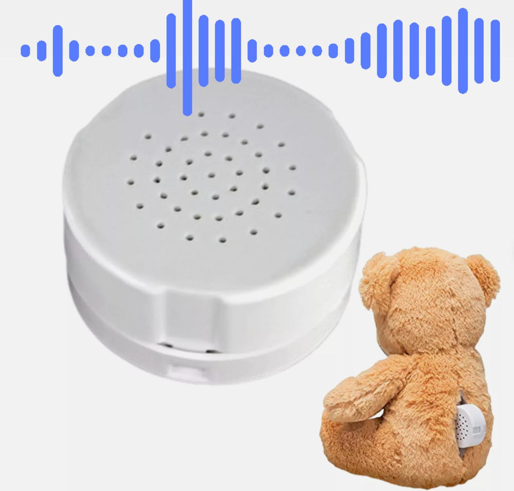 WN | Bear Audio