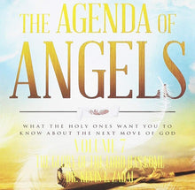 Load image into Gallery viewer, The Agenda of Angels Vol 7: The Glory Of The Lord Has Come - mp3
