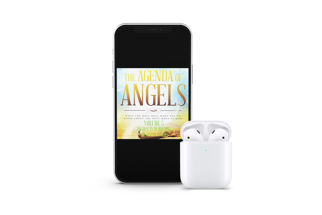 The Agenda of Angels  Vol 5: The Beauty Of Holiness - mp3
