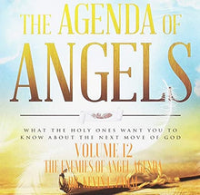 Load image into Gallery viewer, The Agenda of Angels  Vol 12: The Enemies Of Angel Agenda - mp3
