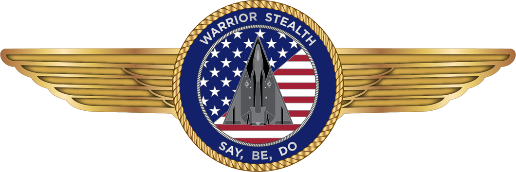 Warrior Stealth - Wings Pin