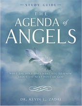 Load image into Gallery viewer, The Agenda of Angels  - Study Guide
