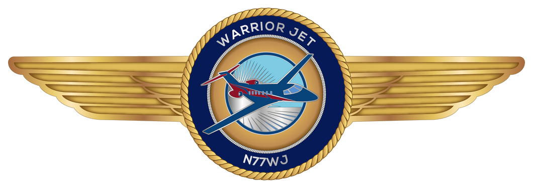 Warrior Jet - Wings Pin
