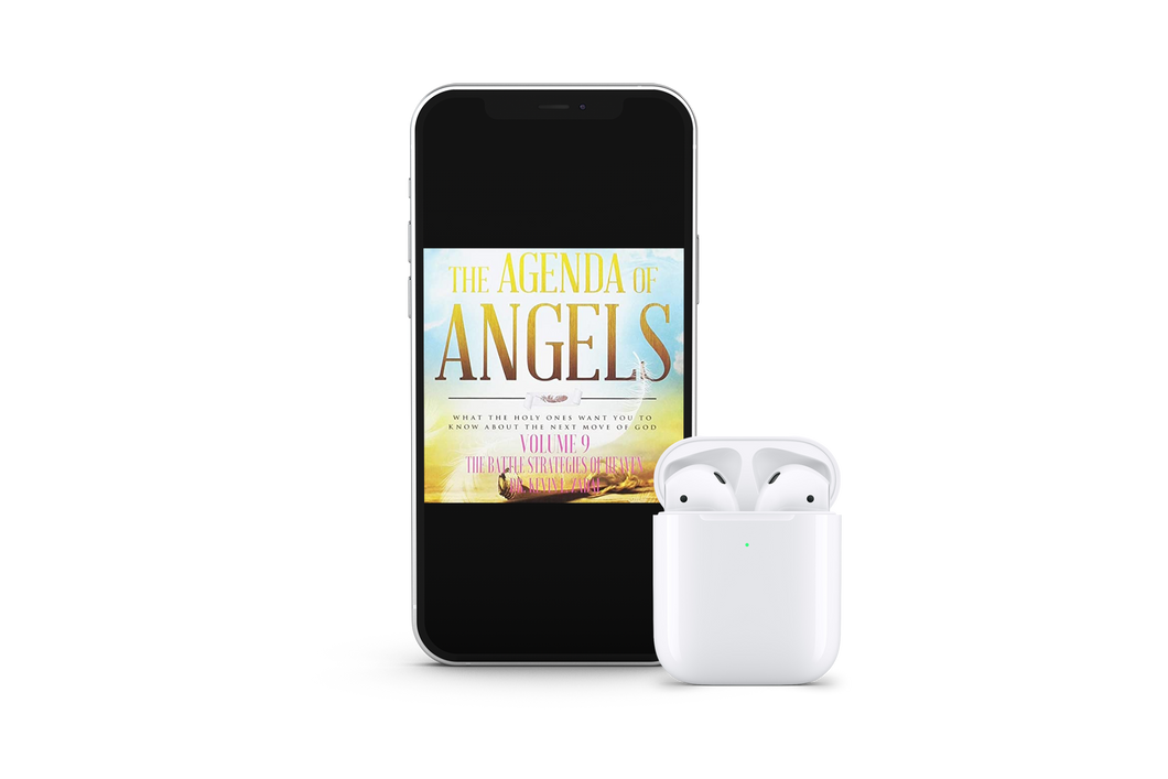 The Agenda of Angels  Vol 9: The Battle Strategies of Heaven - mp3